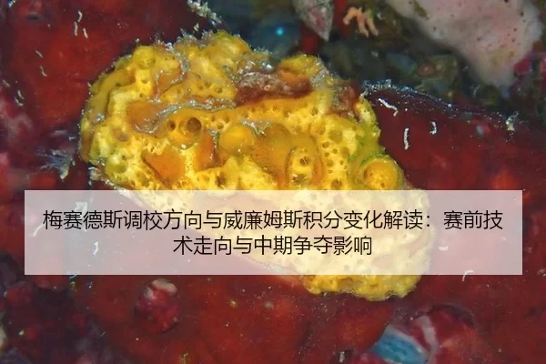梅赛德斯调校方向与威廉姆斯积分变化解读：赛前技术走向与中期争夺影响